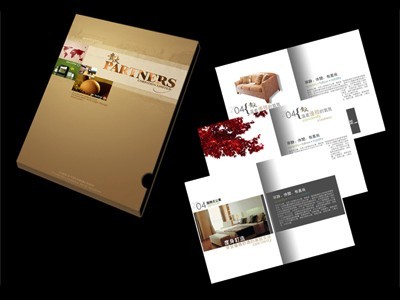 創(chuàng)新圖文藝術 專業(yè)燃氣鍋爐宣傳畫冊與說明書設計制作服務